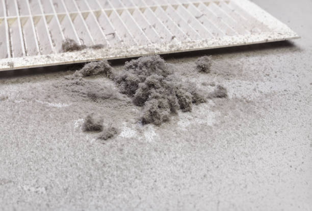 Best Affordable Air Duct Cleaning  in Mayfair, CA