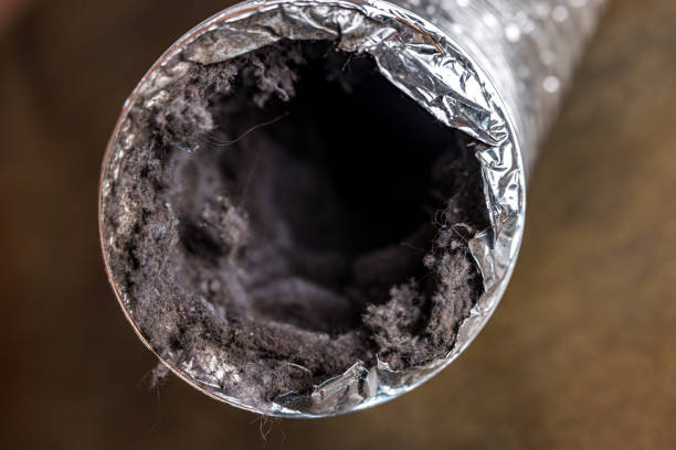 Best HVAC Duct Inspection Services  in Mayfair, CA