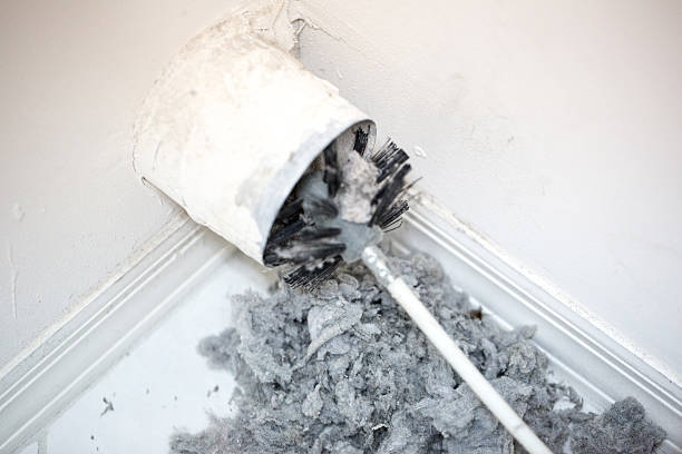 Best Professional Duct Cleaning Services  in Mayfair, CA